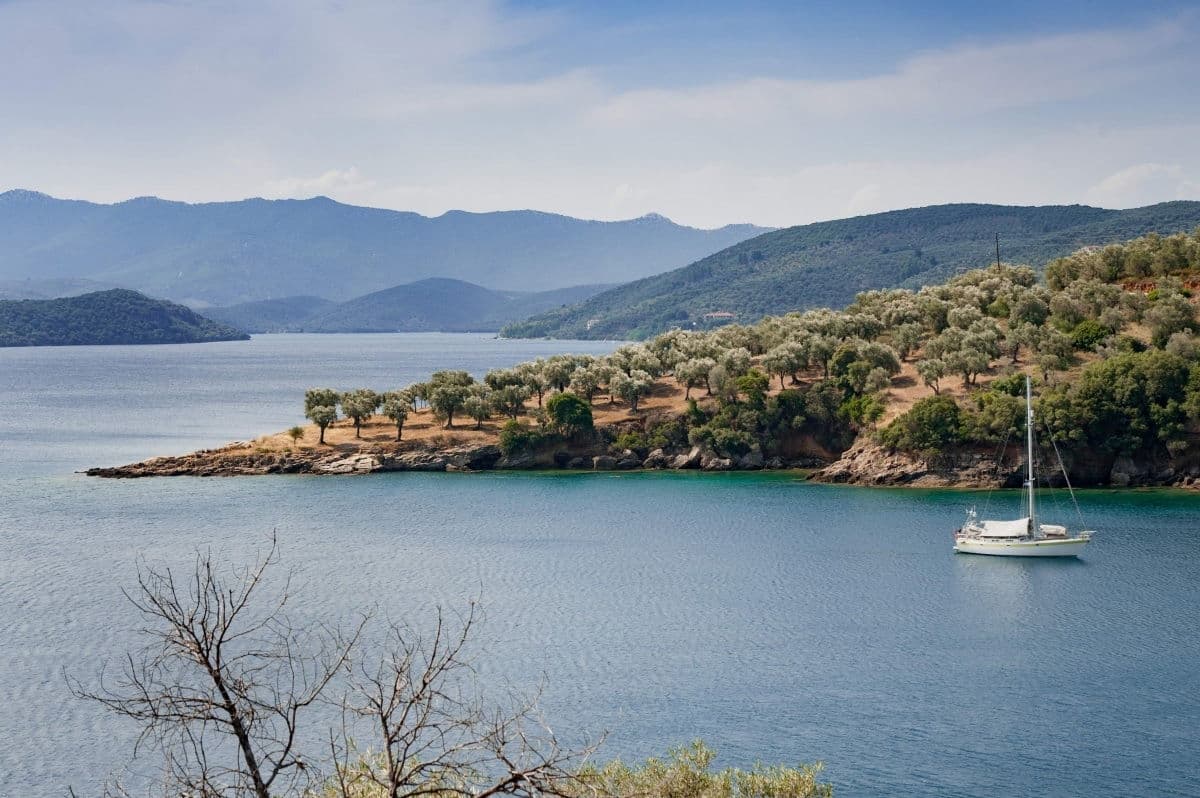 How does the heat affect our olive groves in Crete? George explains!