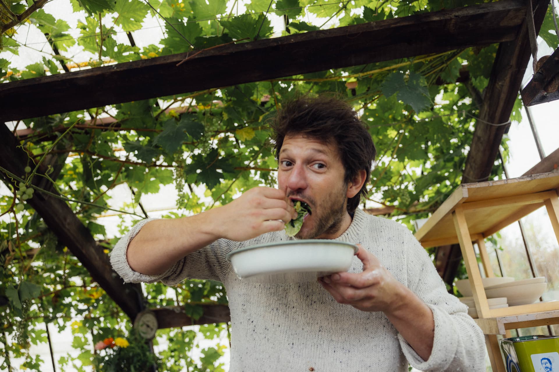 The Health Benefits of Olive Oil