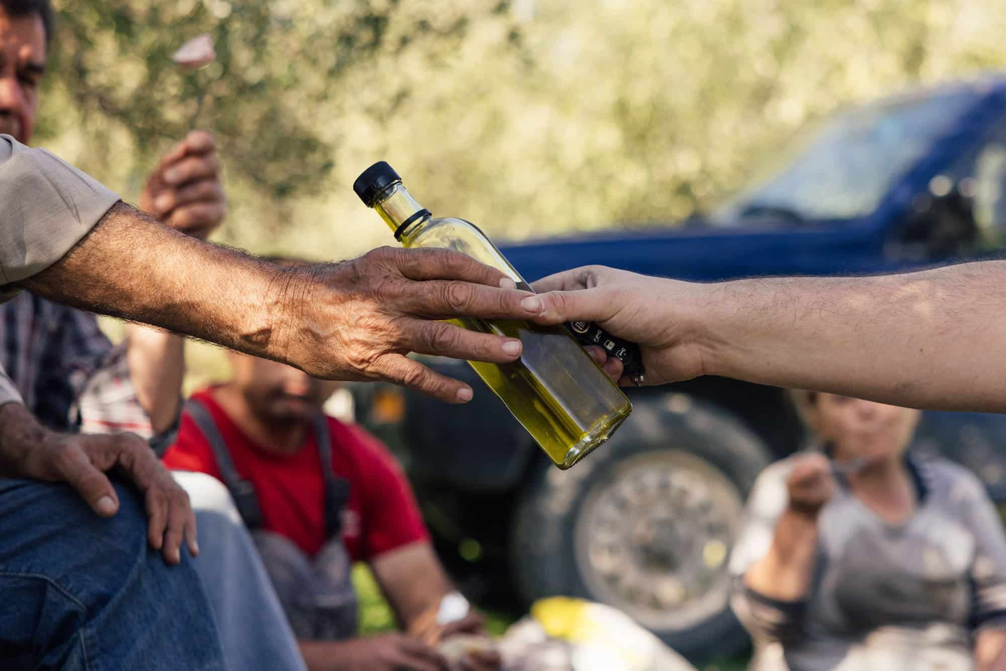 Conclusion olive oil vs sunflower oil