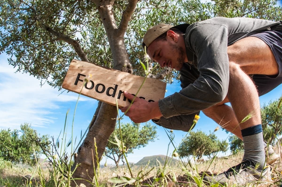 Foodbloggers ontvangen eigen Gkazas-olijfboom op Kreta