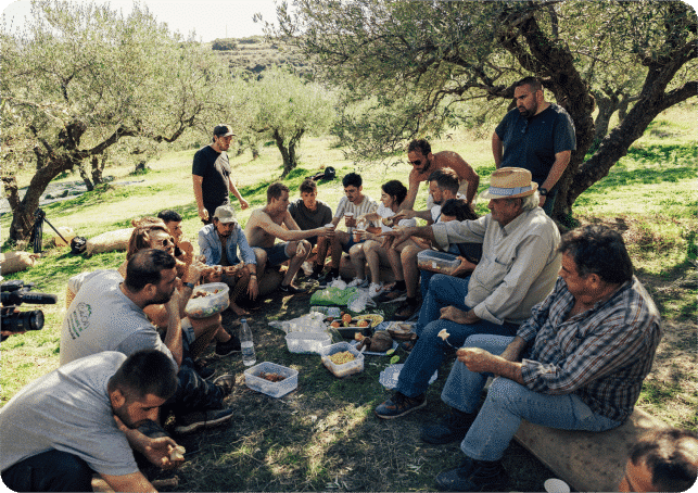 Lekkerste olijfolie extra vierge uit Kreta