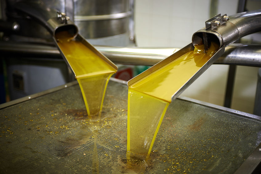 Productie olijfolie, hoe gaat dat nu? 5