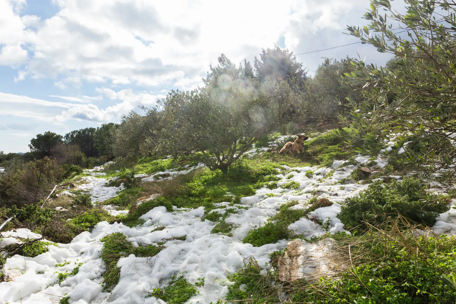 Kan het sneeuwen op Kreta?
