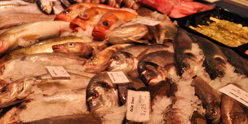 Olijfolie en vis: een gouden combinatie, én hier te koop in Nederland! 4