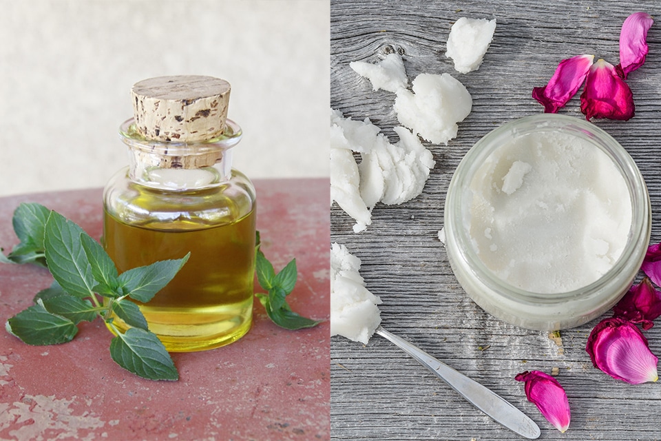 L'huile d'olive contre l'huile de coco : laquelle est la plus saine ?
