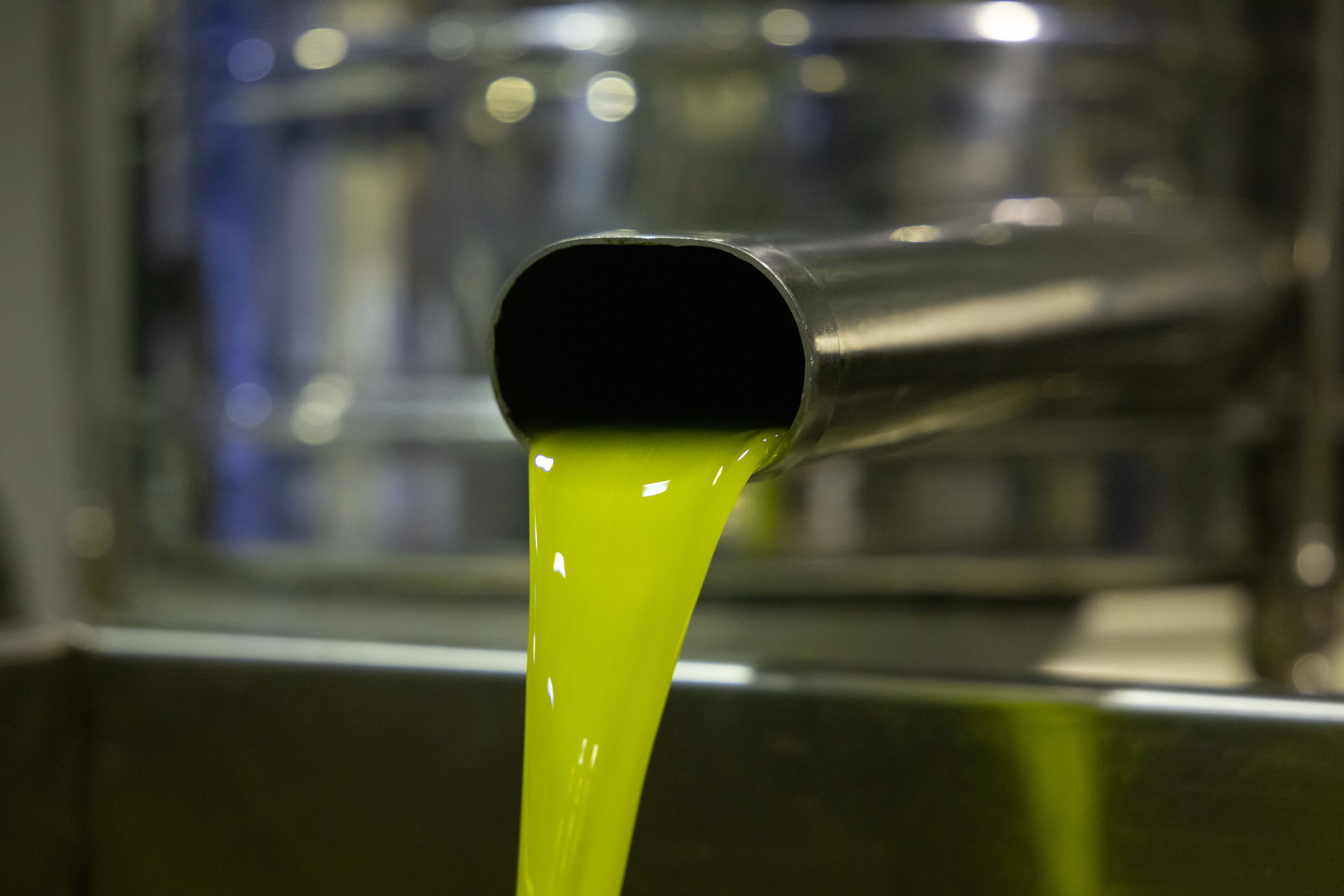 Feiten en fabels over olijfolie door de jaren heen 6