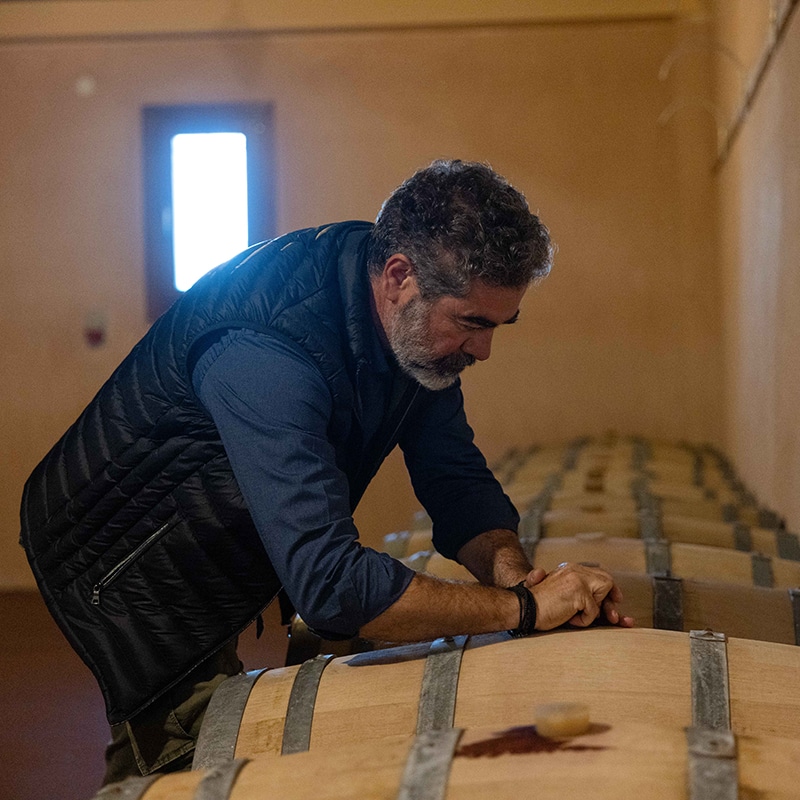 Yamas: wijnboer Nikos produceert biologische Griekse wijn in de Kretense bergen 13