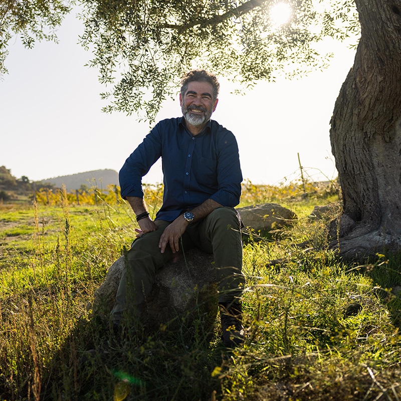 Yamas: wijnboer Nikos produceert biologische Griekse wijn in de Kretense bergen 17