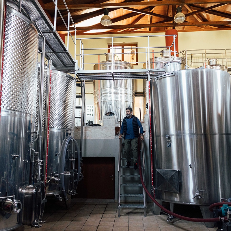 Yamas: wijnboer Nikos produceert biologische Griekse wijn in de Kretense bergen 12